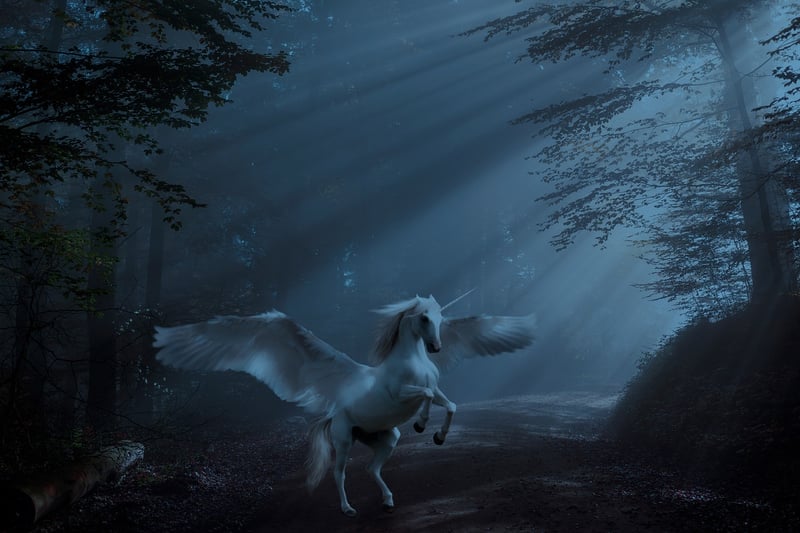 Unicorn Valley